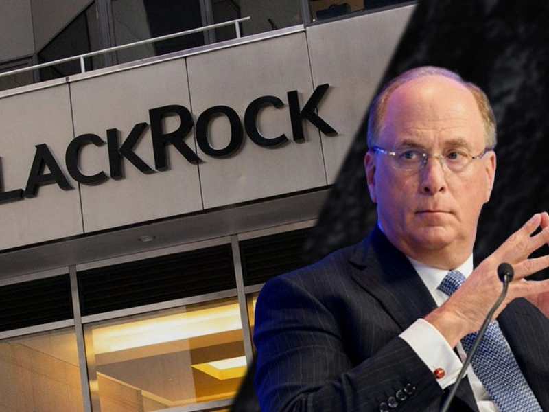 Blackrock ou la domination&nbsp;financière